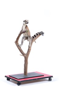 Image description is not available for 1998.4.2